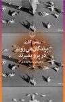 کتاب پرندگان می‌روند در پرو بمیرند نوشته  رومن گاری  سمیه نوروزی
